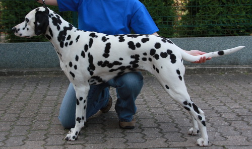 Ondra28.jpg
