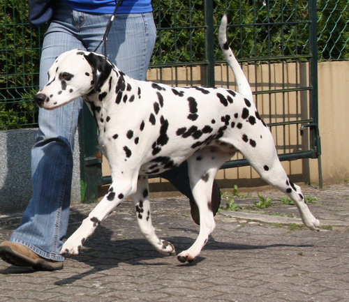 Ondra32.jpg